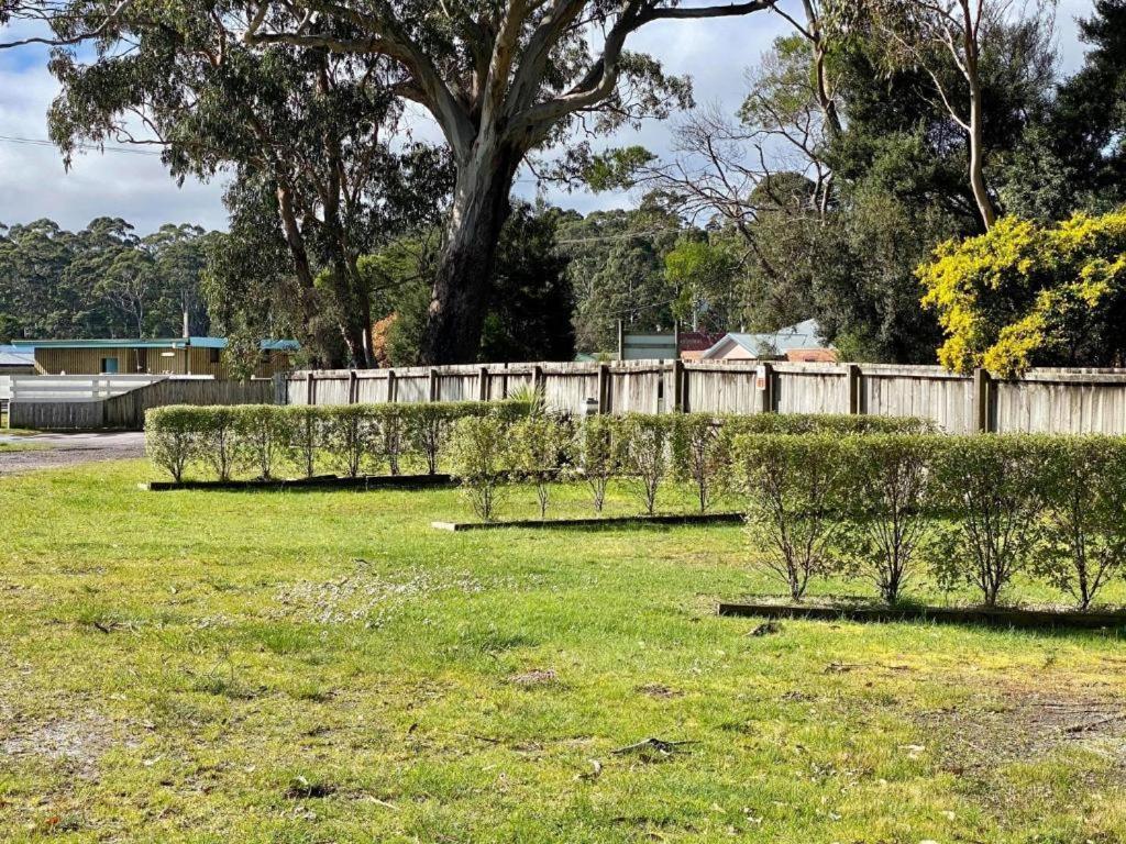 Strahan Beach Tourist Park Exterior foto